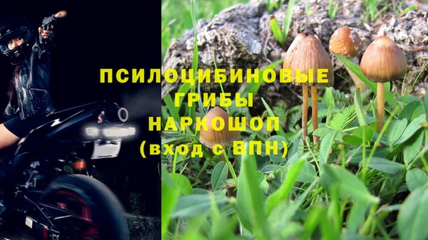 твердый Аркадак