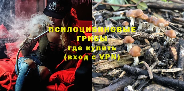 прущая мука Армянск